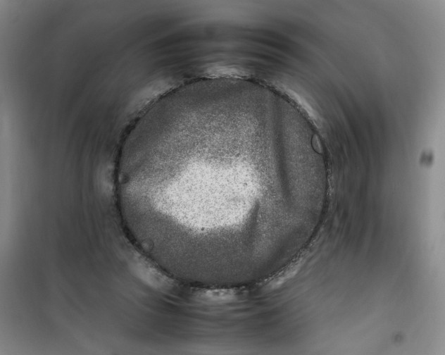 X0000100980353200807151421