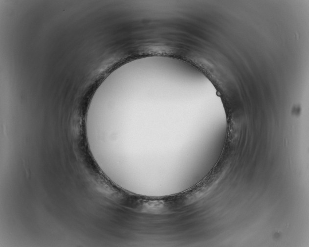 X0000100980355200807151421