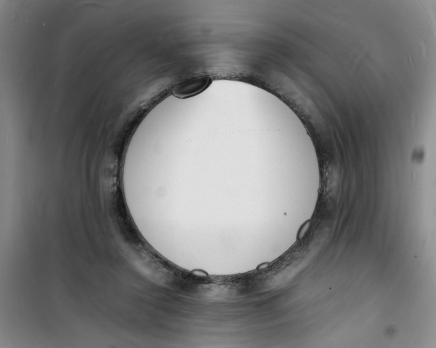 X0000100980356200807151421