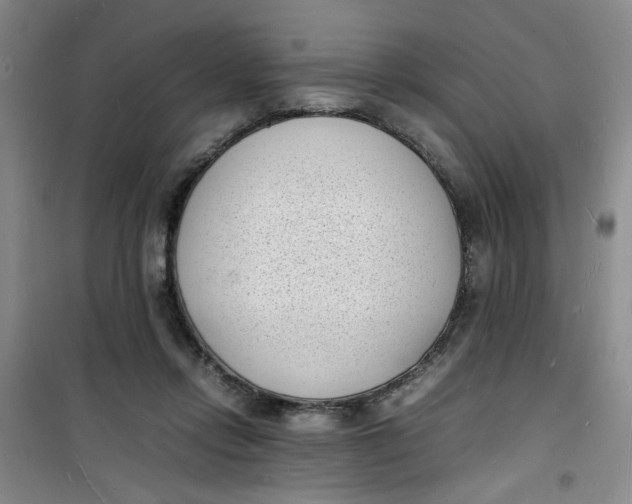 X0000100980358200807151421