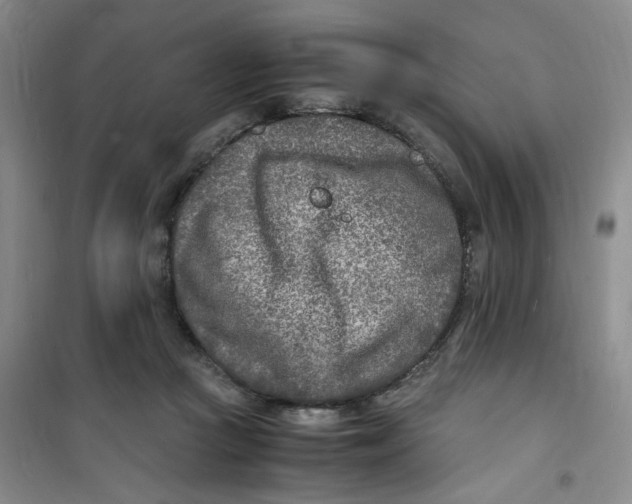 X0000100980361200807151421