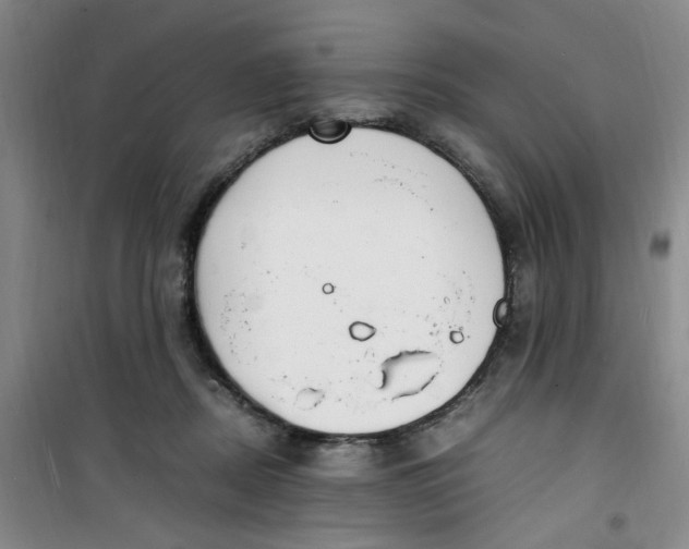 X0000100980362200807151421