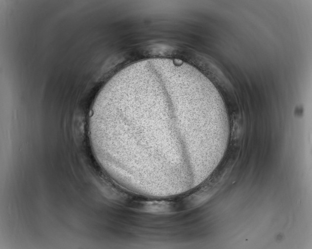 X0000100980363200807151421