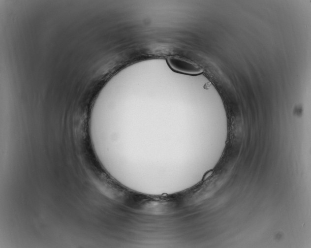 X0000100980364200807151421