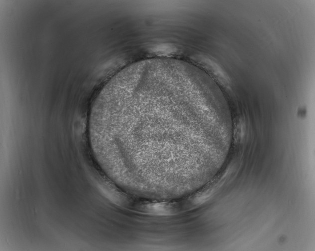 X0000100980365200807151421