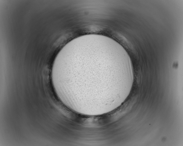 X0000100980366200807151421