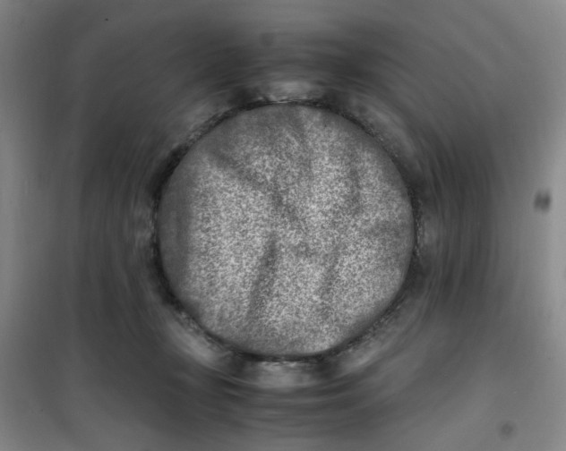 X0000100980367200807151421