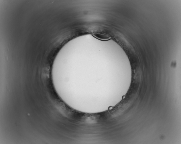 X0000100980368200807151421