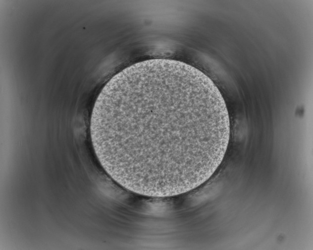 X0000100980370200807151421