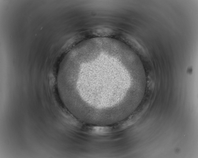 X0000100980371200807151421