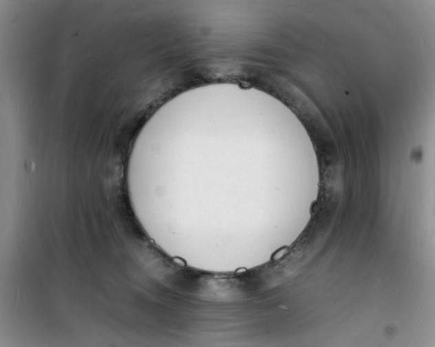 X0000100980372200807151421