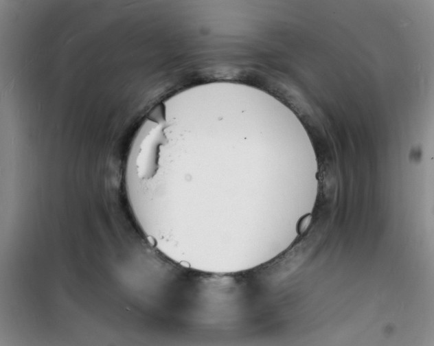 X0000100980374200807151421