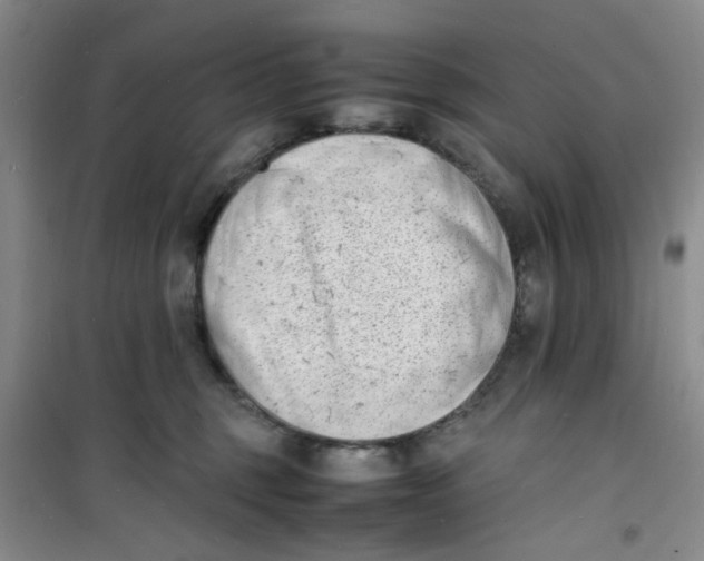 X0000100980375200807151421