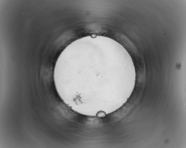 X0000100980376200807151421