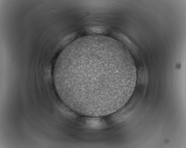 X0000100980377200807151421