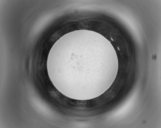 X0000100980382200807151421