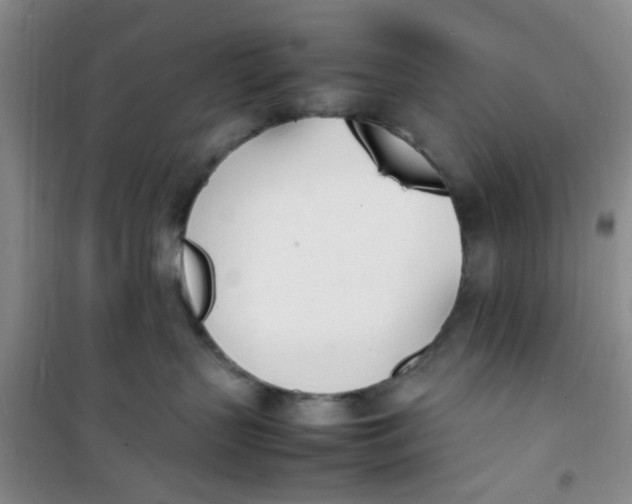 X0000100980383200807151421