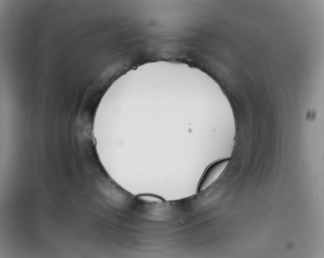 X0000100980384200807151421