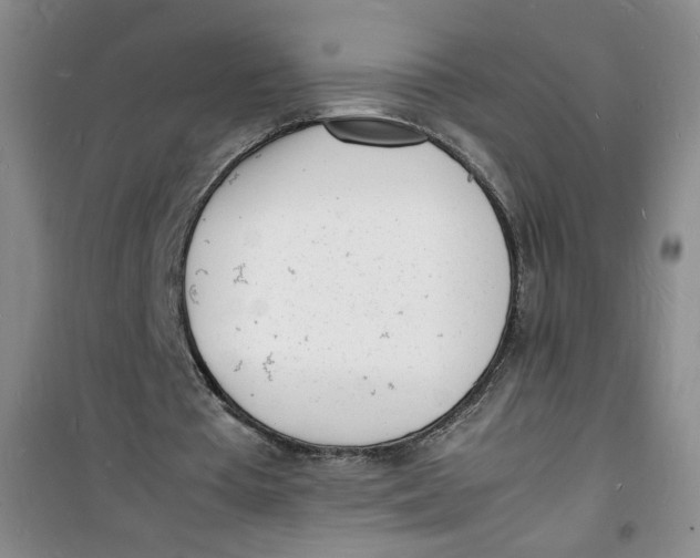 X0000100980385200807151420