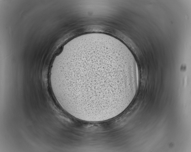 X0000100980386200807151420