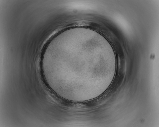 X0000100980387200807151420