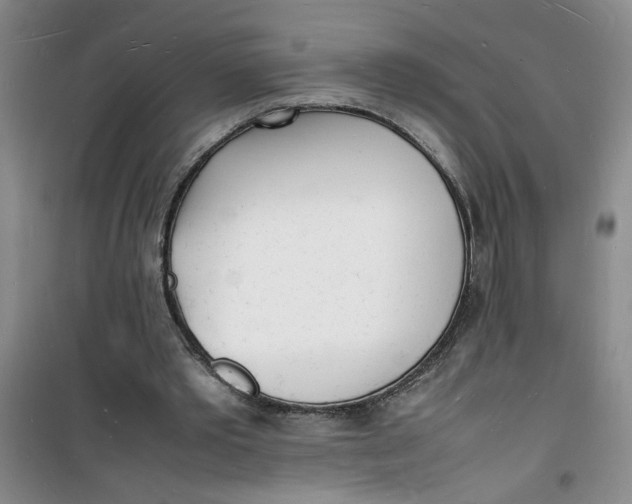 X0000100980389200807151420