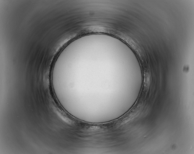 X0000100980390200807151420