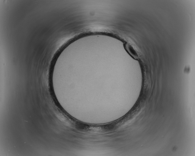 X0000100980391200807151420