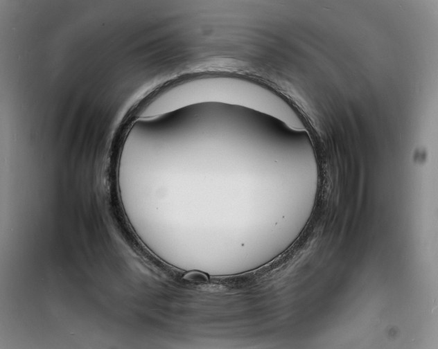 X0000100980392200807151420