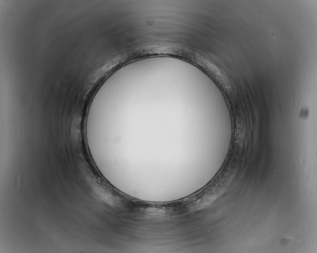 X0000100980394200807151420