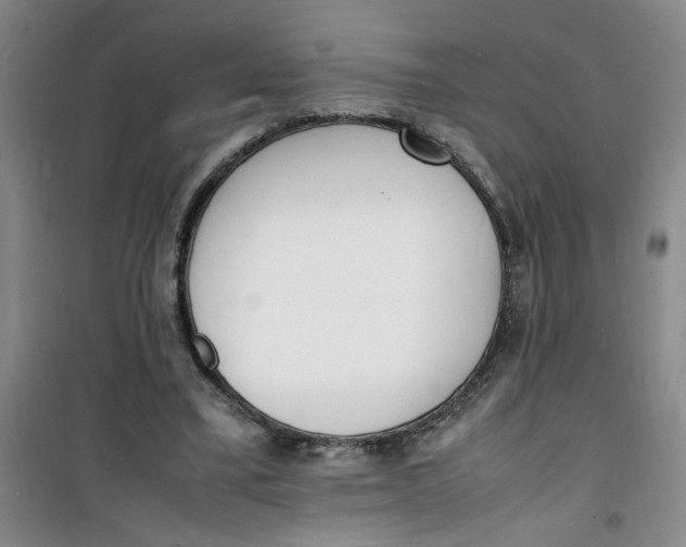 X0000100980395200807151420