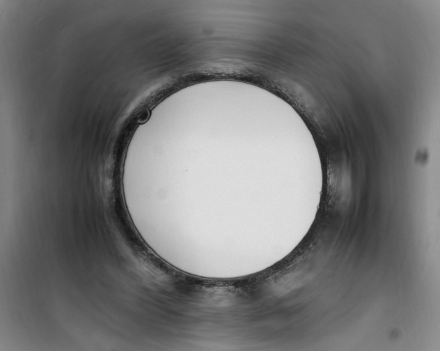 X0000100980396200807151420