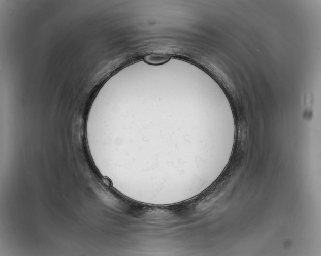 X0000100980397200807151420