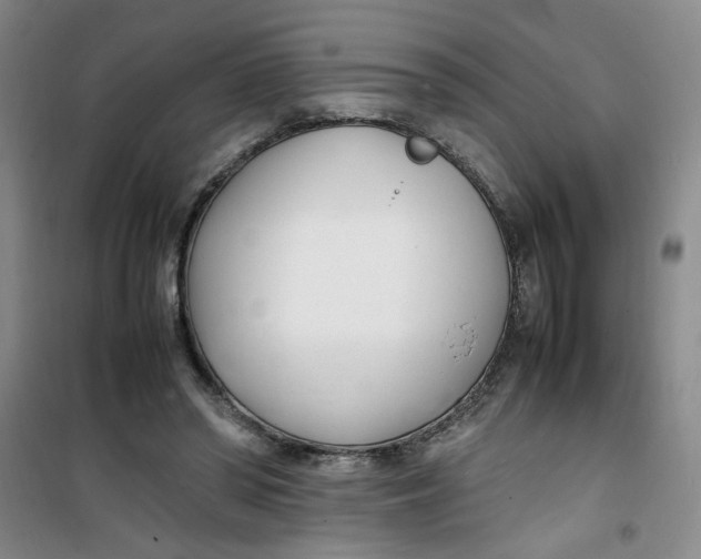 X0000100980398200807151420