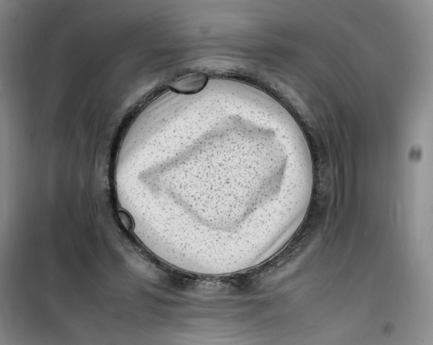 X0000100980399200807151420