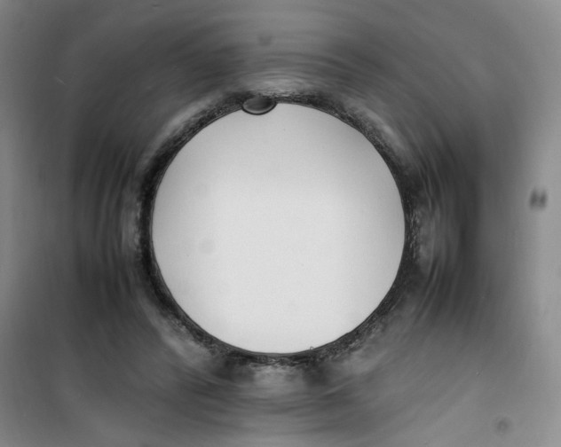 X0000100980400200807151420