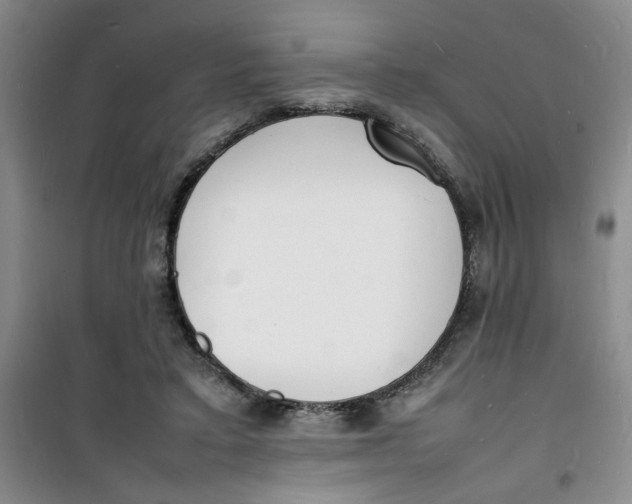 X0000100980403200807151420