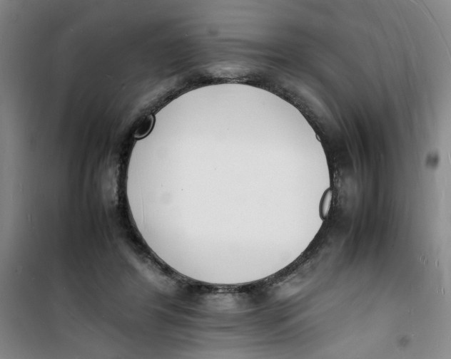 X0000100980404200807151420