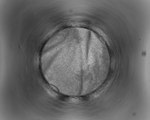 X0000100980405200807151420