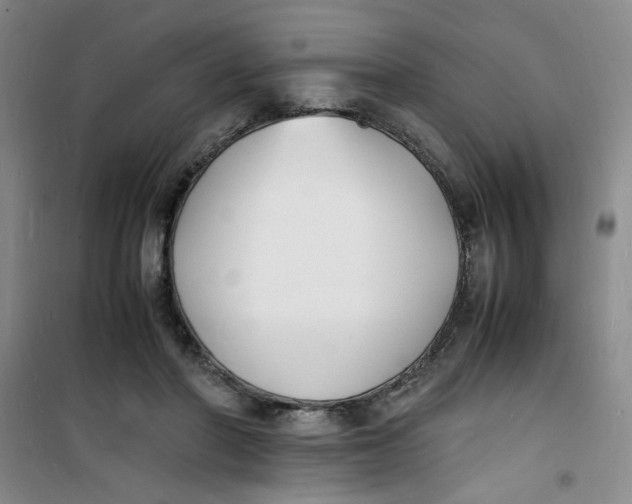 X0000100980406200807151420