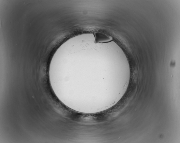 X0000100980407200807151420