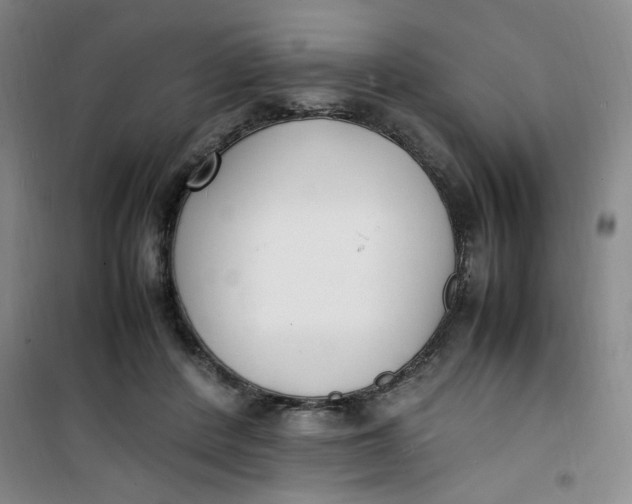 X0000100980408200807151420