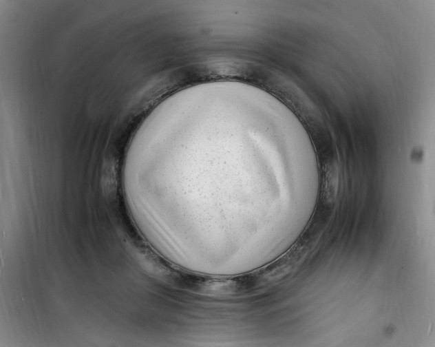 X0000100980410200807151420