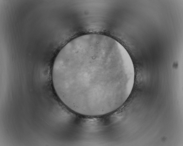 X0000100980411200807151420