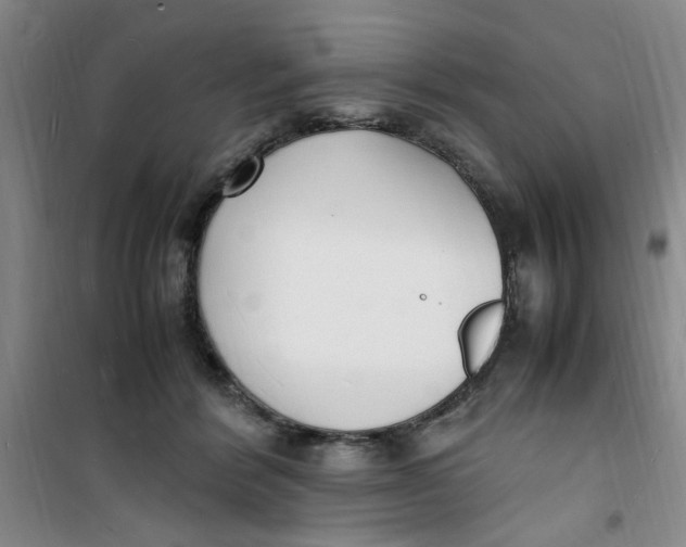 X0000100980412200807151420