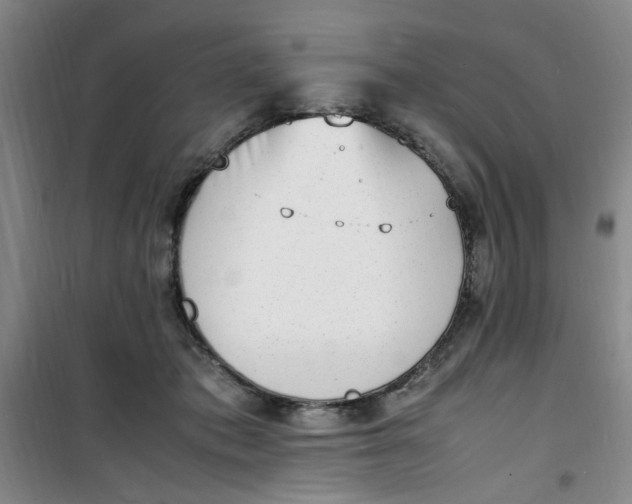 X0000100980413200807151420