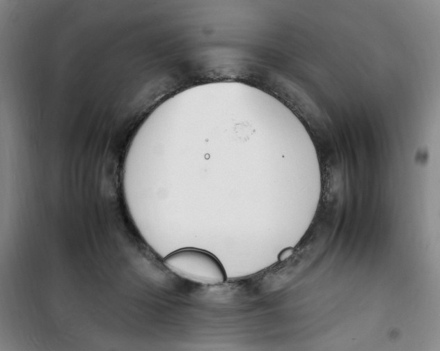 X0000100980414200807151420