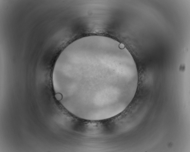 X0000100980415200807151420