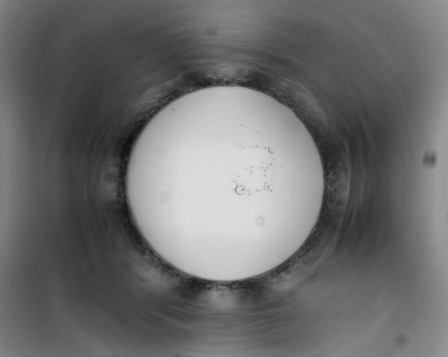 X0000100980416200807151420