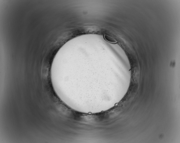 X0000100980417200807151420